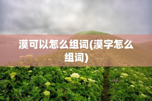 漠可以怎么组词(漠字怎么组词)