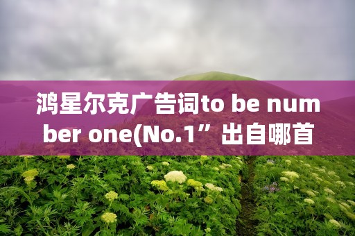 鸿星尔克广告词to be number one(No.1”出自哪首歌)