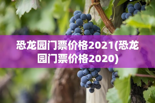 恐龙园门票价格2021(恐龙园门票价格2020)