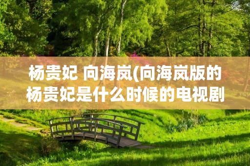 杨贵妃 向海岚(向海岚版的杨贵妃是什么时候的电视剧啊)