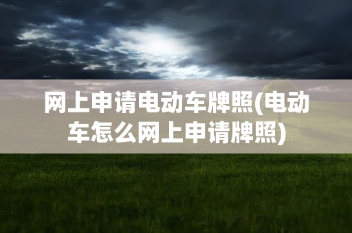 网上申请电动车牌照(电动车怎么网上申请牌照)