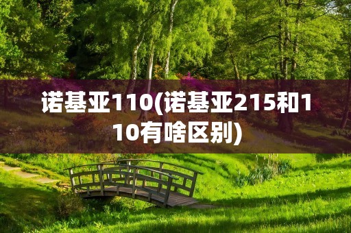 诺基亚110(诺基亚215和110有啥区别)