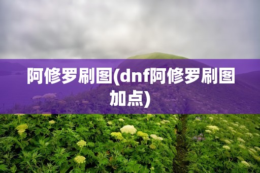 阿修罗刷图(dnf阿修罗刷图加点)