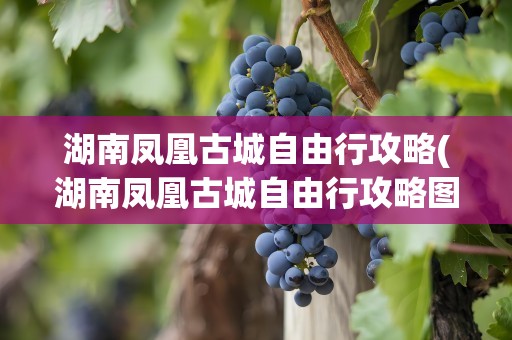 湖南凤凰古城自由行攻略(湖南凤凰古城自由行攻略图)