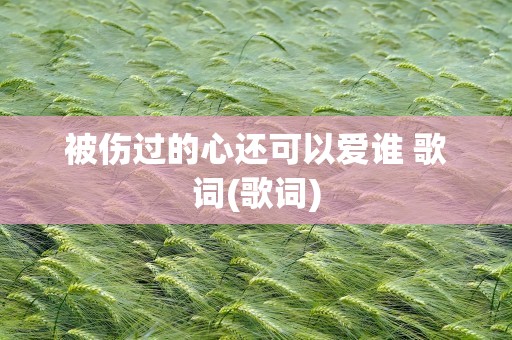 被伤过的心还可以爱谁 歌词(歌词)