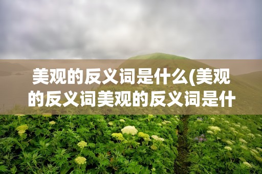 美观的反义词是什么(美观的反义词美观的反义词是什么)