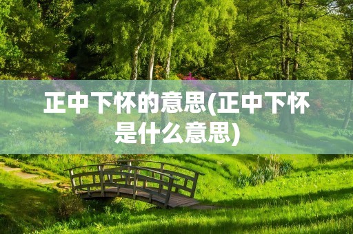 正中下怀的意思(正中下怀是什么意思)