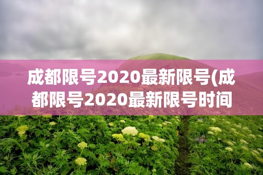 成都限号2020最新限号(成都限号2020最新限号时间段)