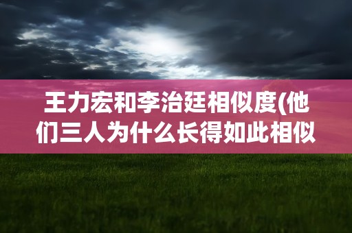 王力宏和李治廷相似度(他们三人为什么长得如此相似)