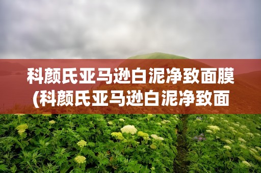 科颜氏亚马逊白泥净致面膜(科颜氏亚马逊白泥净致面膜怎么用)