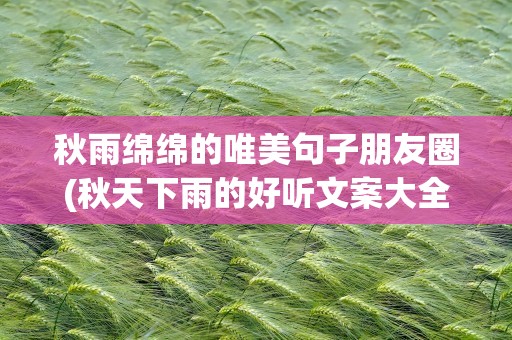 秋雨绵绵的唯美句子朋友圈(秋天下雨的好听文案大全)