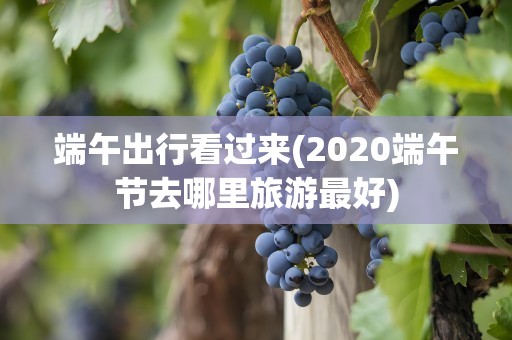 端午出行看过来(2020端午节去哪里旅游最好)