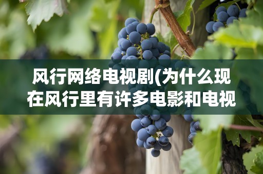 风行网络电视剧(为什么现在风行里有许多电影和电视剧都不能看)