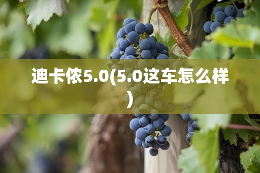 迪卡侬5.0(5.0这车怎么样)