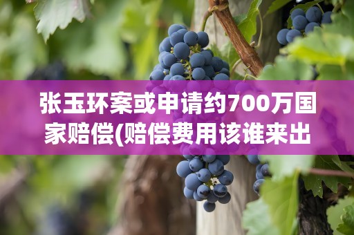 张玉环案或申请约700万国家赔偿(赔偿费用该谁来出)