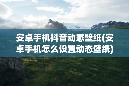 安卓手机抖音动态壁纸(安卓手机怎么设置动态壁纸)