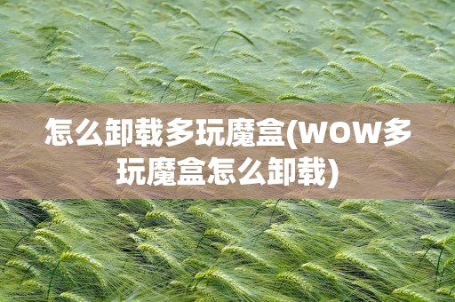 怎么卸载多玩魔盒(WOW多玩魔盒怎么卸载)