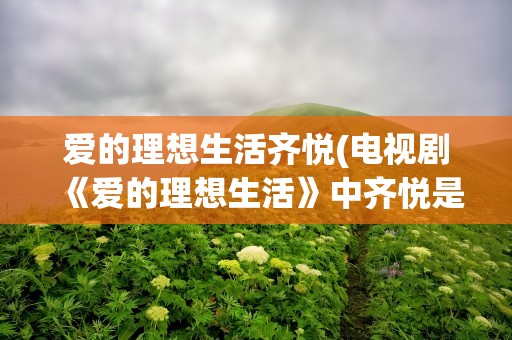 爱的理想生活齐悦(电视剧《爱的理想生活》中齐悦是好人吗)