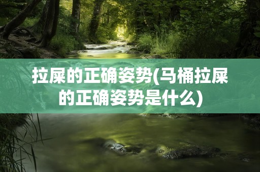 拉屎的正确姿势(马桶拉屎的正确姿势是什么)