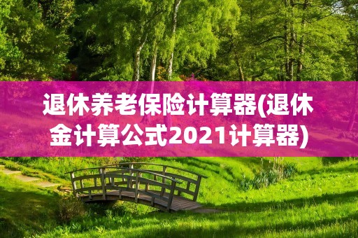 退休养老保险计算器(退休金计算公式2021计算器)