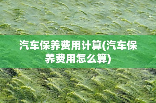 汽车保养费用计算(汽车保养费用怎么算)