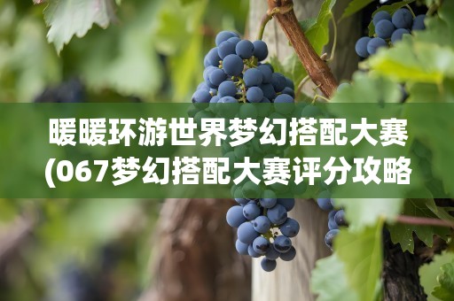 暖暖环游世界梦幻搭配大赛(067梦幻搭配大赛评分攻略)