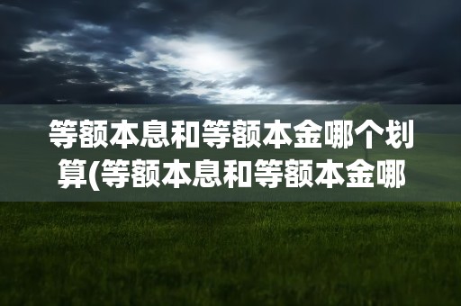 等额本息和等额本金哪个划算(等额本息和等额本金哪个划算些啊)