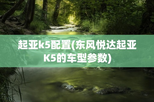 起亚k5配置(东风悦达起亚K5的车型参数)