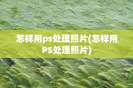 怎样用ps处理照片(怎样用PS处理照片)