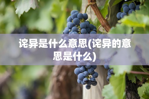 诧异是什么意思(诧异的意思是什么)