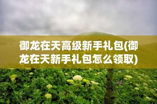 御龙在天高级新手礼包(御龙在天新手礼包怎么领取)