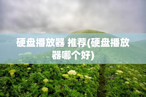 硬盘播放器 推荐(硬盘播放器哪个好)