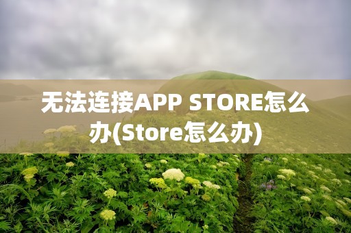 无法连接APP STORE怎么办(Store怎么办)