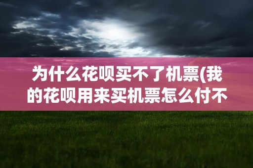 为什么花呗买不了机票(我的花呗用来买机票怎么付不了款呀)