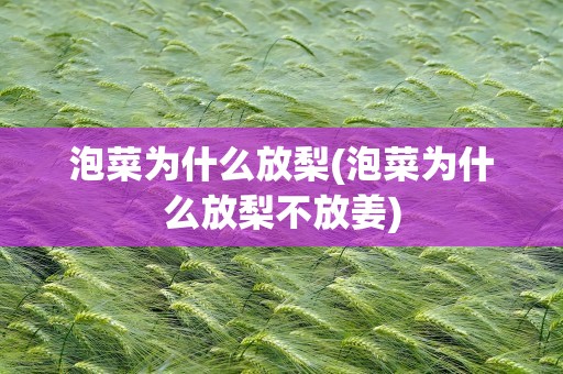 泡菜为什么放梨(泡菜为什么放梨不放姜)