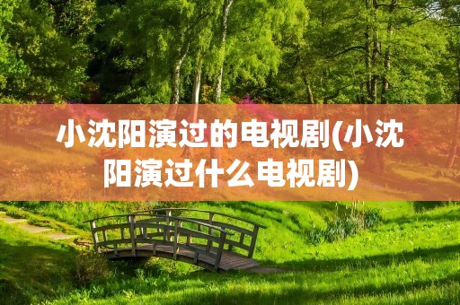 小沈阳演过的电视剧(小沈阳演过什么电视剧)