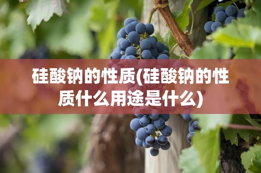 硅酸钠的性质(硅酸钠的性质什么用途是什么)