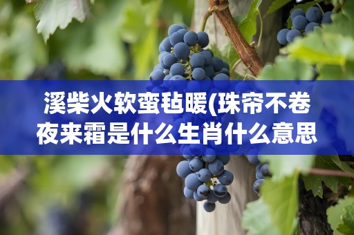 溪柴火软蛮毡暖(珠帘不卷夜来霜是什么生肖什么意思啊)