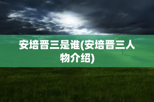 安培晋三是谁(安培晋三人物介绍)