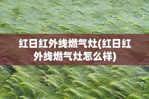 红日红外线燃气灶(红日红外线燃气灶怎么样)