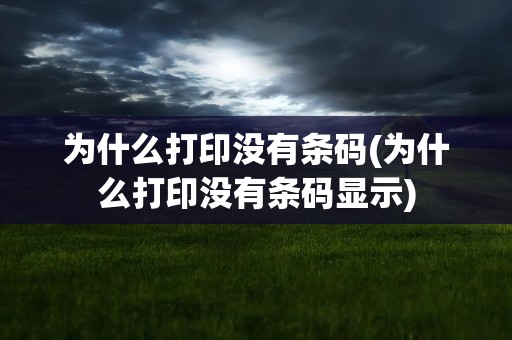 为什么打印没有条码(为什么打印没有条码显示)