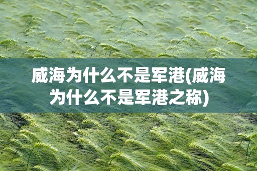 威海为什么不是军港(威海为什么不是军港之称)