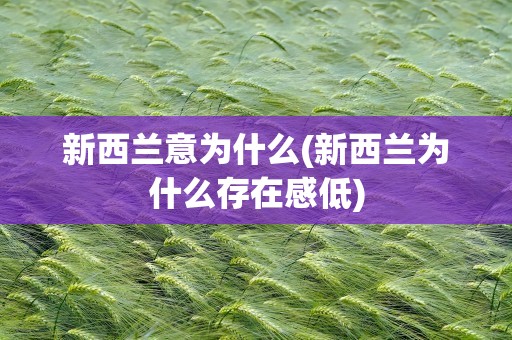 新西兰意为什么(新西兰为什么存在感低)