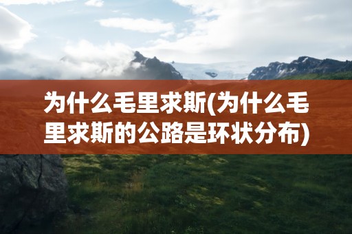 为什么毛里求斯(为什么毛里求斯的公路是环状分布)