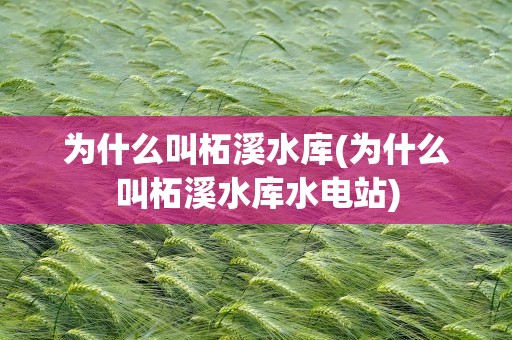 为什么叫柘溪水库(为什么叫柘溪水库水电站)