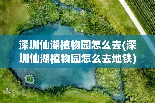 深圳仙湖植物园怎么去(深圳仙湖植物园怎么去地铁)