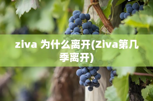 ziva 为什么离开(Ziva第几季离开)