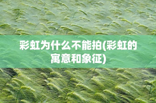 彩虹为什么不能拍(彩虹的寓意和象征)