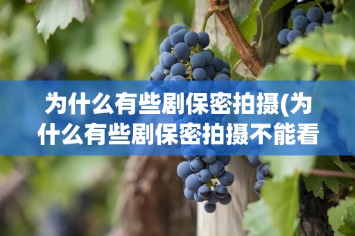 为什么有些剧保密拍摄(为什么有些剧保密拍摄不能看)