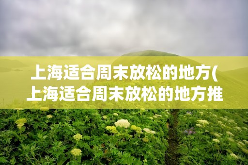 上海适合周末放松的地方(上海适合周末放松的地方推荐)